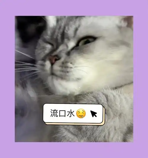 只有我家小猫咪爱流口水吗