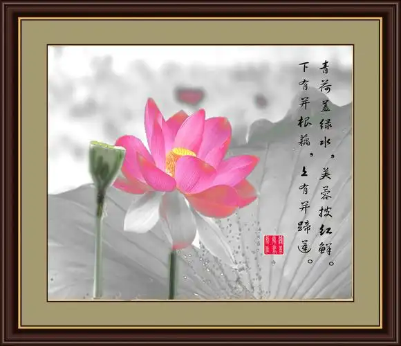 一百幅荷花原创配一百首历代咏荷诗词领略荷韵