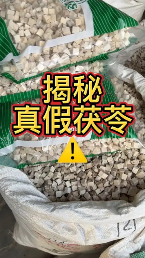 真假茯苓辨别