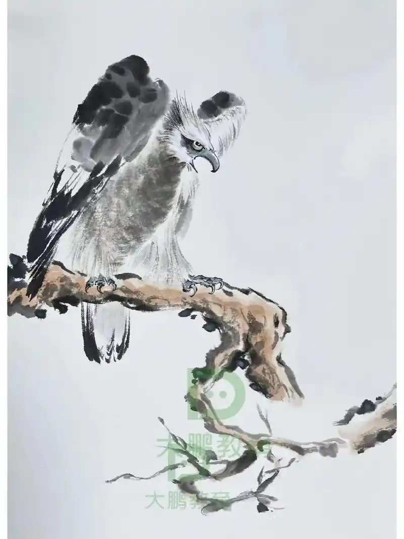 《雄鹰振翅》国画教程步骤图.1.这幅作品描绘的是雄鹰展翅的一 - 抖音