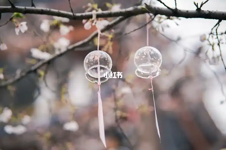 樱花风铃