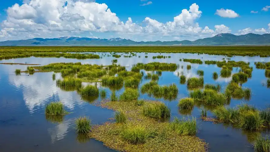 四川若尔盖花湖风景