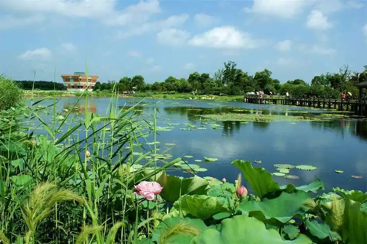 p>荷塘月色湿地公园位于 a href="#" data-lemmaid="1570653">苏州