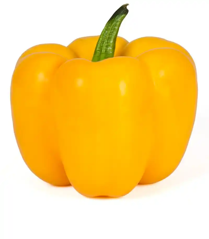 黄灯笼椒,一只黄椒的特写