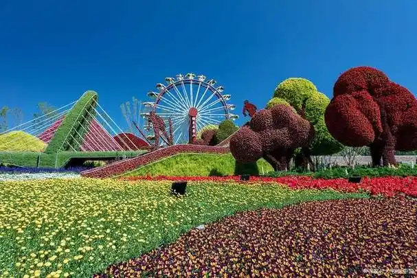 北京顺义鲜花港,花海浪漫之旅,拍出网红大片