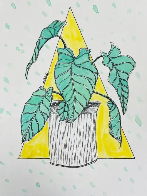 之前画的三张观叶植物,在琢磨水彩调色时顺手上了个色,喜欢这种清爽的