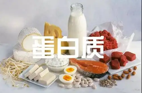 减肥,这些食物让你瘦的更快 | 轻管家_蛋白质