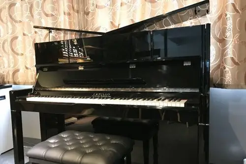 德国卡米洛钢琴—每个轮廓都让人爱不释手