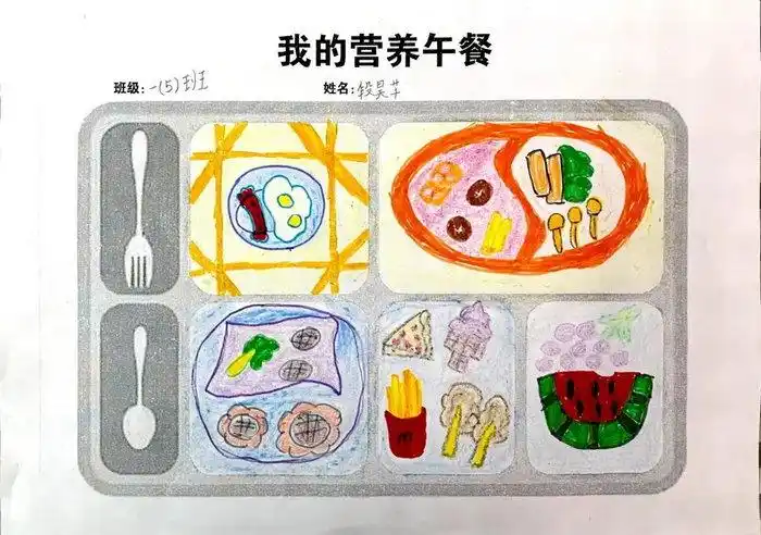 我的营养午餐绘画