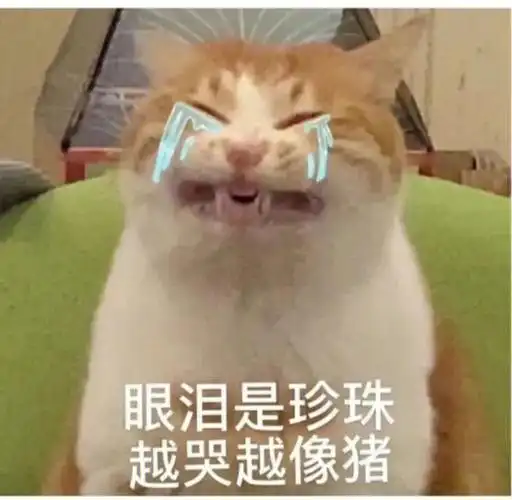 我最爱的表情包