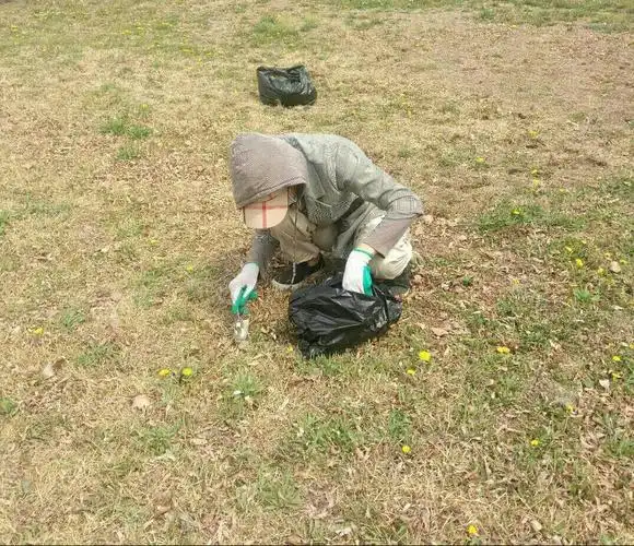 带你去挖婆婆丁