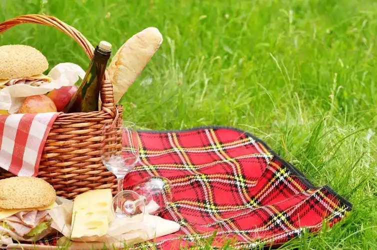 美味的户外野餐食物高清图片