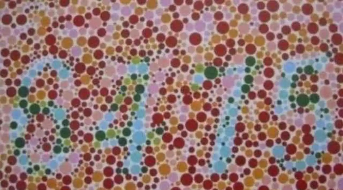 我说这是2719,朋友说我是色盲.说说你看到的是多少?