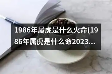 1986年属虎是什么火命(1986年属虎是什么命2023运势)