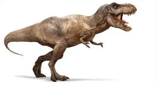 恐龙世界中的明星角色,常见于各类影视作品中,随着《侏罗纪公园》