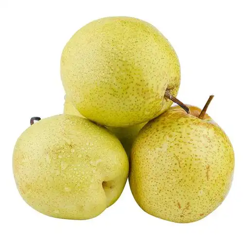 【10-5】雪花梨 河北正宗雪梨 新鲜应季水果梨子冰糖雪梨代发