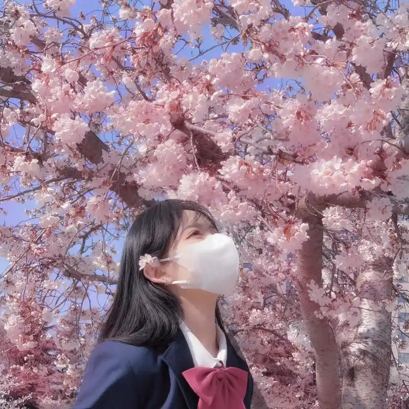 勇敢真的是最高级的词汇#樱花#头像 - 抖音