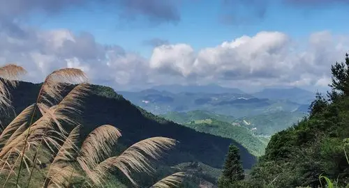闽南第一高峰——大芹山