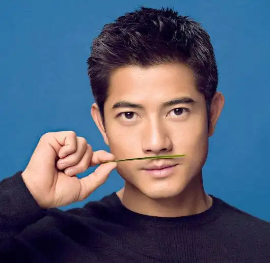 【图】四大天王之一郭富城照片 帅到没朋友!