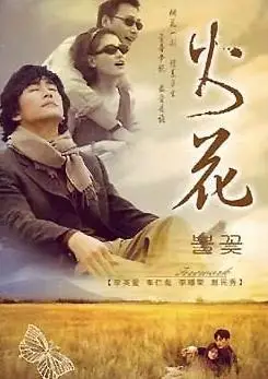 p>《火花》是韩国sbs电视台出品的40集言情电视剧.