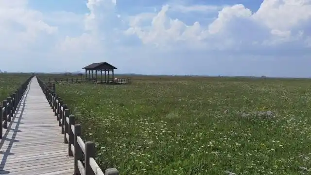 沽源县五花草甸