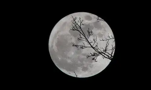 十二,在夜深最静的时候,呼唤着月亮,欣赏着月亮的容颜,现在我离月亮