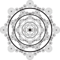 曼荼罗,曼陀罗花,鲜花