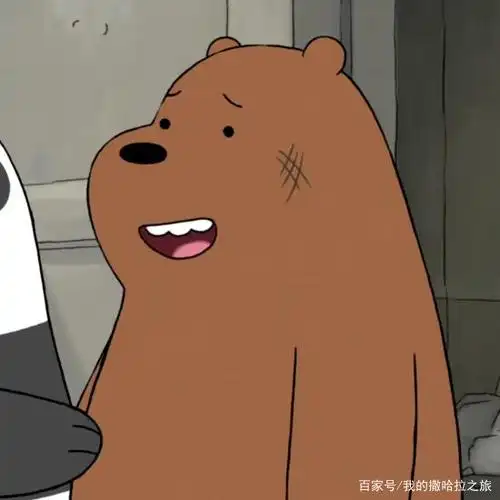 咱们裸熊是美国动漫,裸熊们相依为命,有的还会功夫和做饭呢