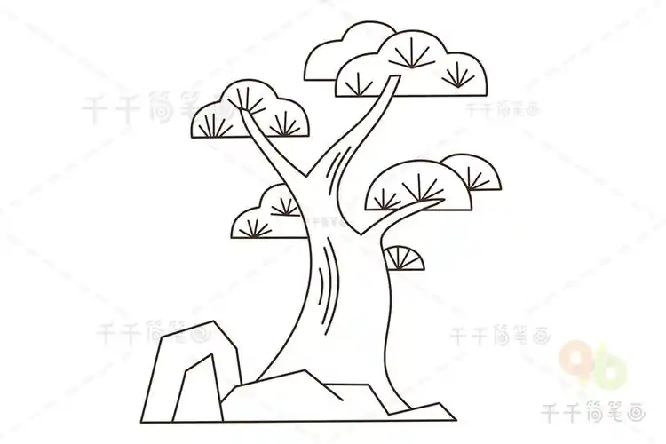 松树简笔画亲子一起画