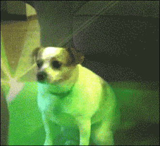 一张属于中国csgo的贴纸我们已经等了5年今天终于来了