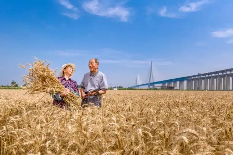 "阳光和赢"杯"走向我们的小康生活"主题摄影展作品展示(五)