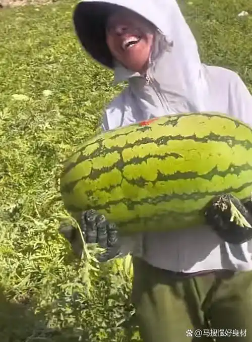 你曾经吃过的最大的西瓜有多大呢?
