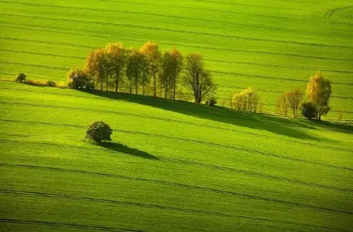 你记忆中的夏天是什么样子呢