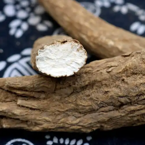 白芷香料白止个羊肉汤火锅卤料卤肉调料包邮香辛料