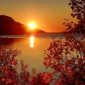 醉美夕阳红头像