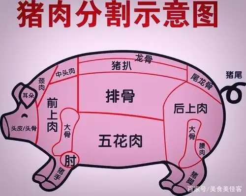 猪肉分割图