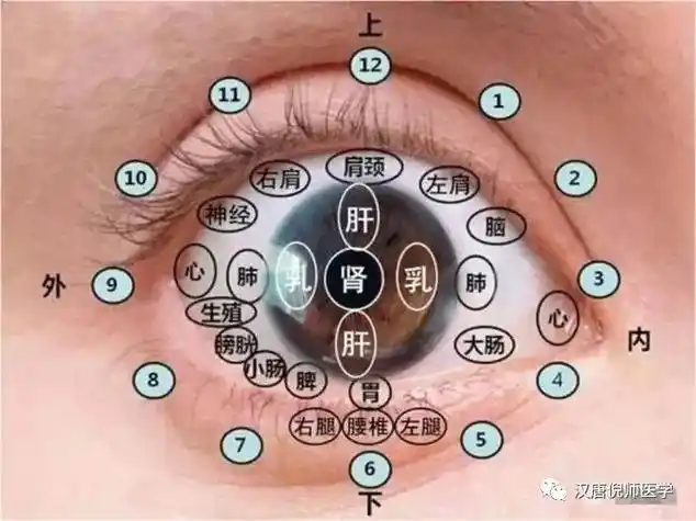 这篇文章了解一下中医的反射区望诊法瞳孔越小的人,眼白越少,越聪明.