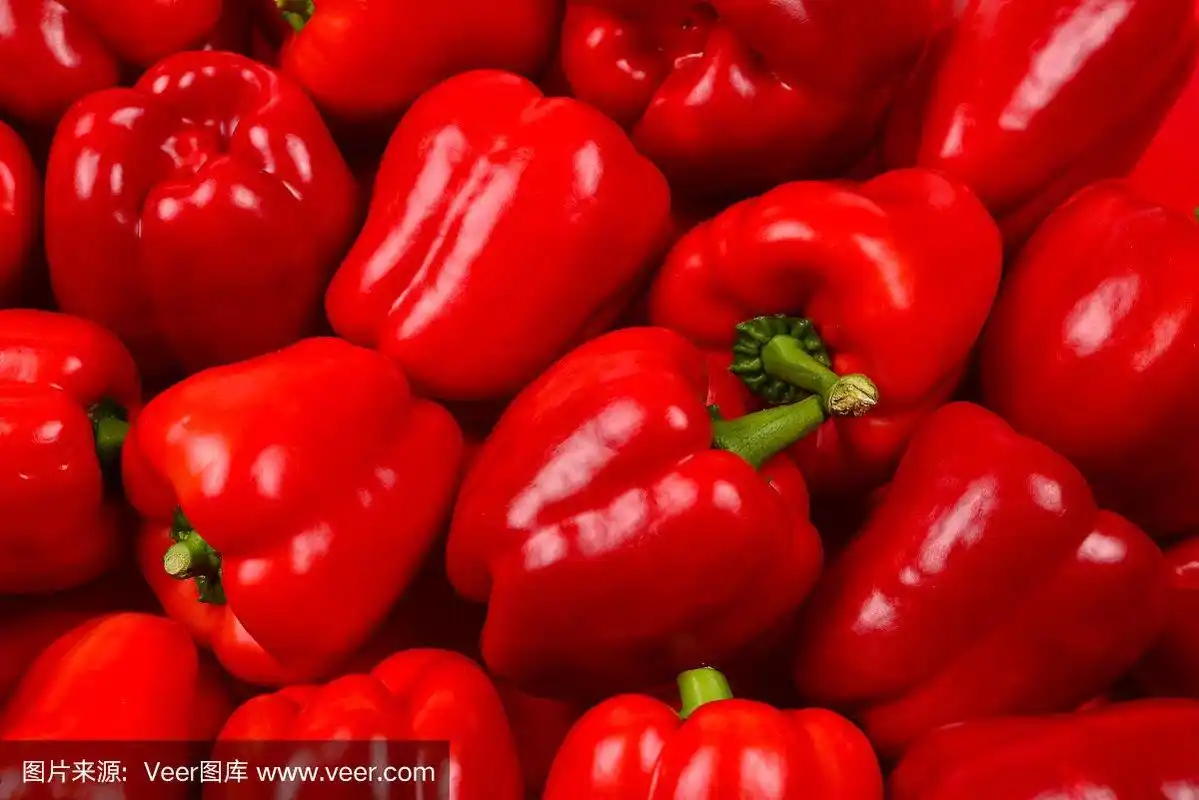 清新,背景,红色灯笼椒,农业,蔬菜