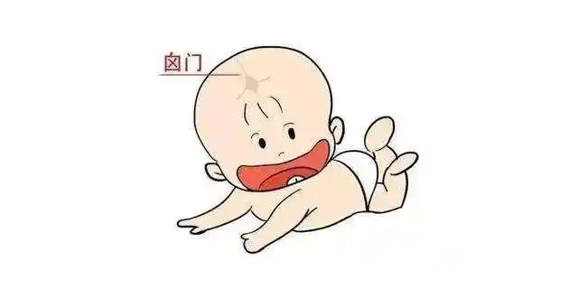 新生儿疾病与预防宝宝的囟门你注意到了吗