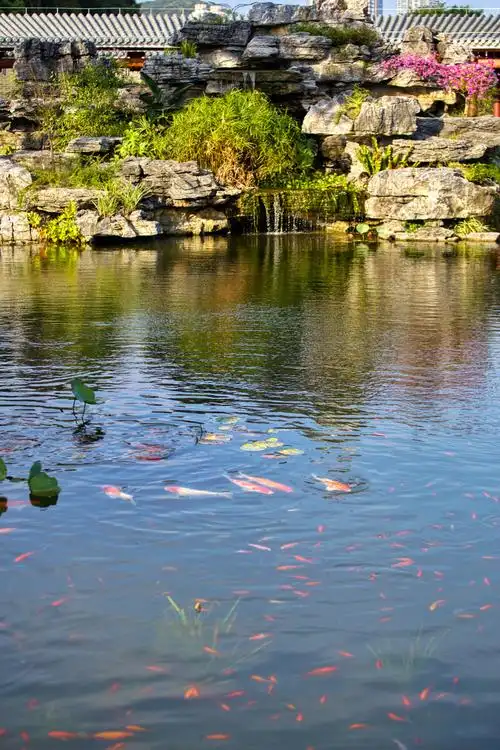 珠海海天公园摄影