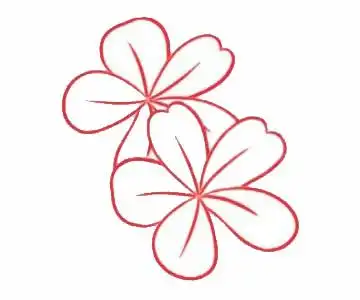 荼蘼花简笔画的画法步骤教程及图片大全