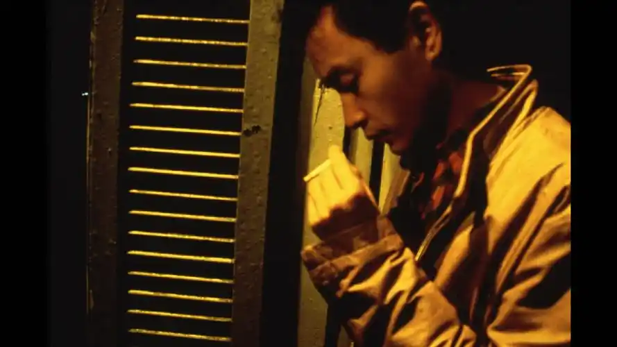 p>《春光乍泄》是由 a href="#" data-lemmaid="373607">王家卫 /a>