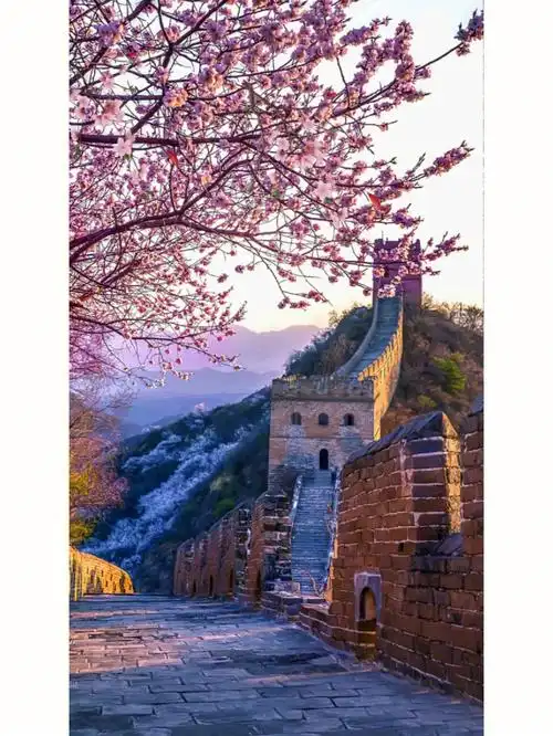 拍了整整三年,往返20次,至于凑齐了长城的春夏秋冬,缩影成这短短的十