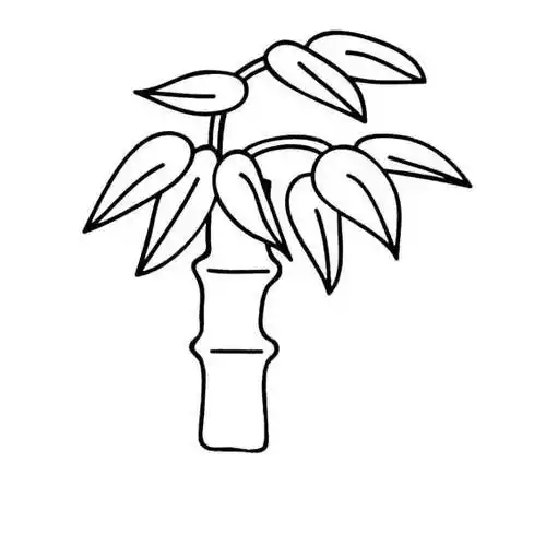 植物简笔画图片大全 植物简笔画图片大全花草类