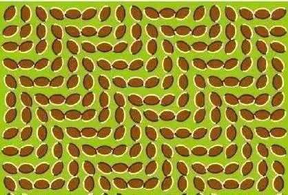 今年也要好好测试自己的智商哦!