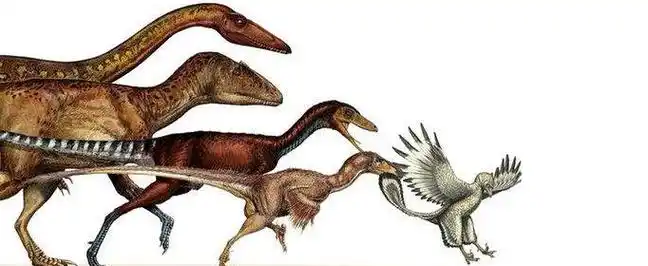 最大和最小的恐龙都有多大?_酷知经验网