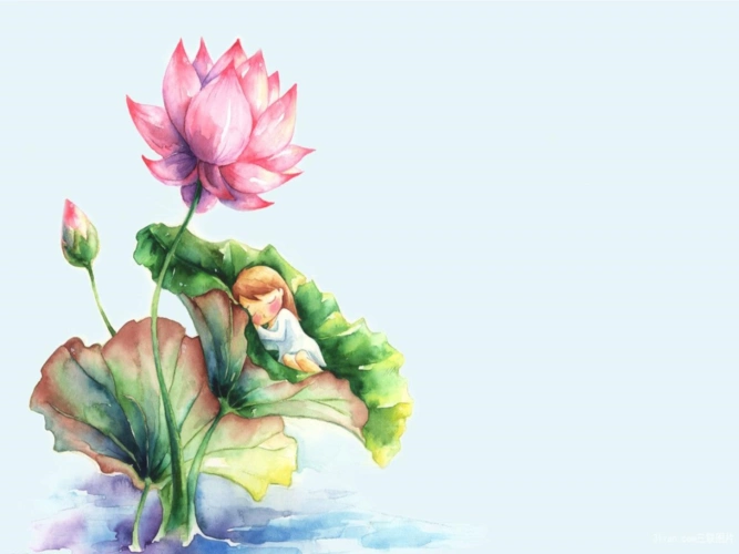 荷花手绘淡雅清新古风文言文ppt背景.ppt