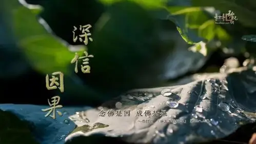 天道有轮回,因果无处不在,苍天饶过谁!