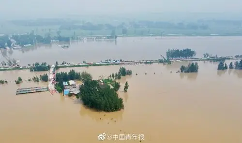 记者在河南省卫辉市顿坊店乡采访了解到……|卫辉市|河南省|受灾_新浪