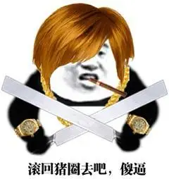 金馆长滚回猪圈去吧傻逼金链子gif动图_动态图_表情包下载_soogif